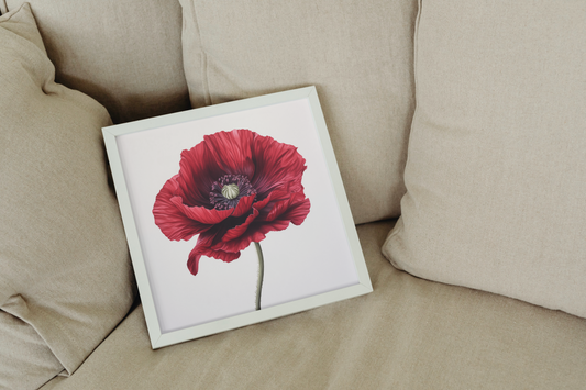 Red Poppy National Flower of Palestine Lest we Forget Remembrance Veterans Wall Print Art, Home Decor Poster
