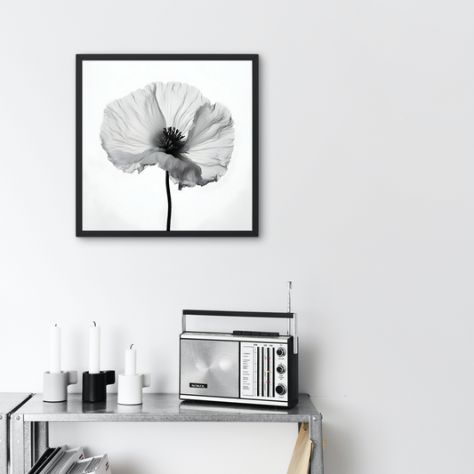 Black and White Poppy, National Flower of Palestine, Lest we Forget WALL PRINT ART Free Palestine, #Ceasefire, Home Decor Poster